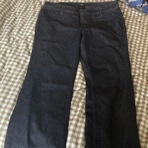Ann Taylor Dark Blue Women Jeans